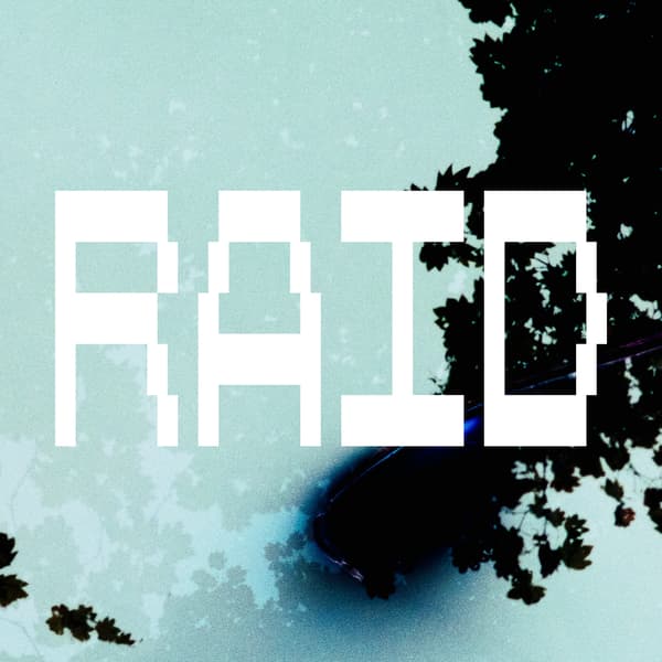 RAID 02